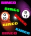 BingoFlash.BMP